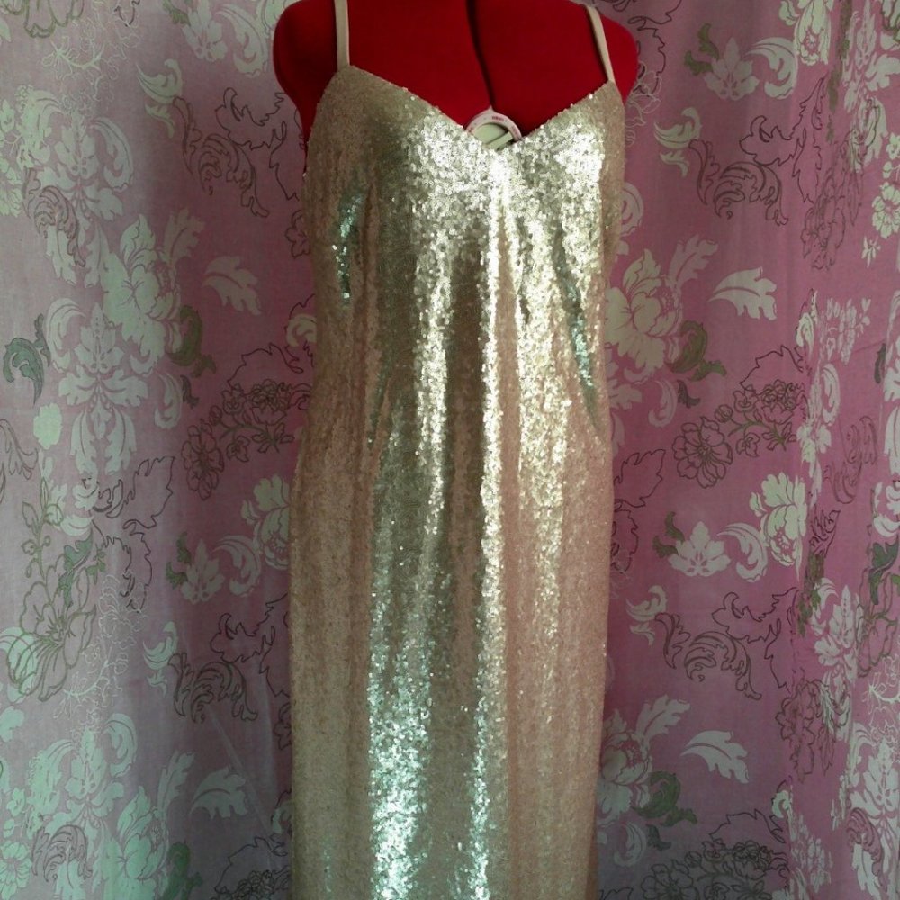 Eloquii evening dress